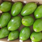 WhatsApp Image 2024-11-05 at 01.36.16