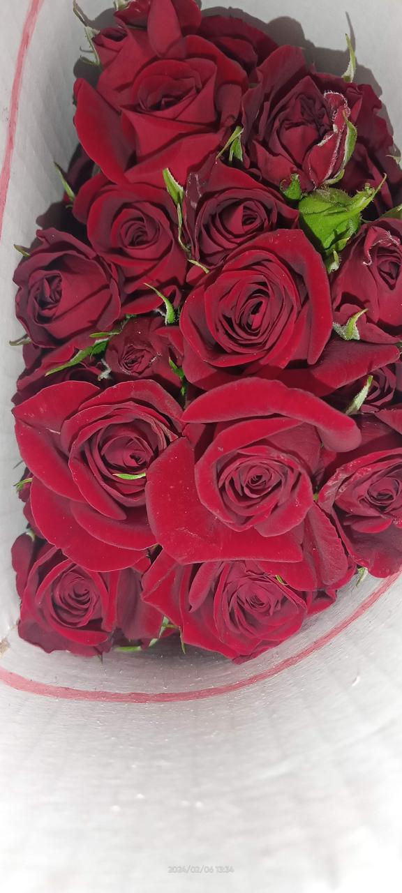 WhatsApp Image 2024-11-08 at 23.38.26