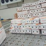 WhatsApp Image 2024-11-08 at 23.38.27 (2)