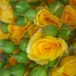 WhatsApp Image 2024-11-08 at 23.38.35