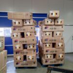 WhatsApp Image 2024-11-08 at 23.38.38