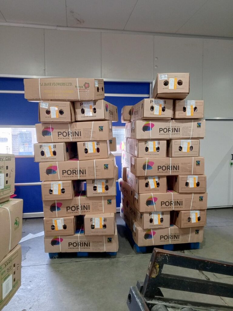 WhatsApp Image 2024-11-08 at 23.38.38