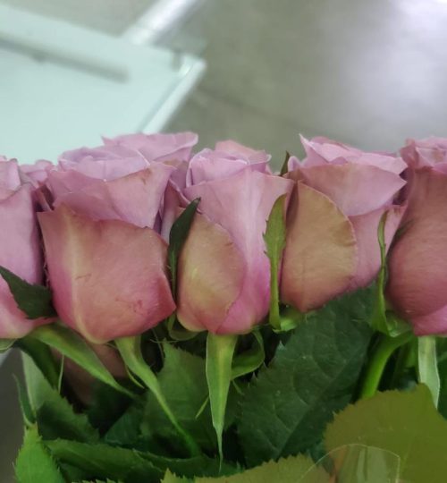 WhatsApp Image 2024-10-30 at 12.40.10 (1)