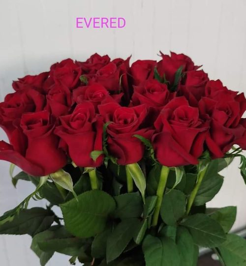 WhatsApp Image 2024-10-30 at 13.49.47