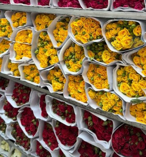 WhatsApp Image 2024-10-30 at 13.49.49