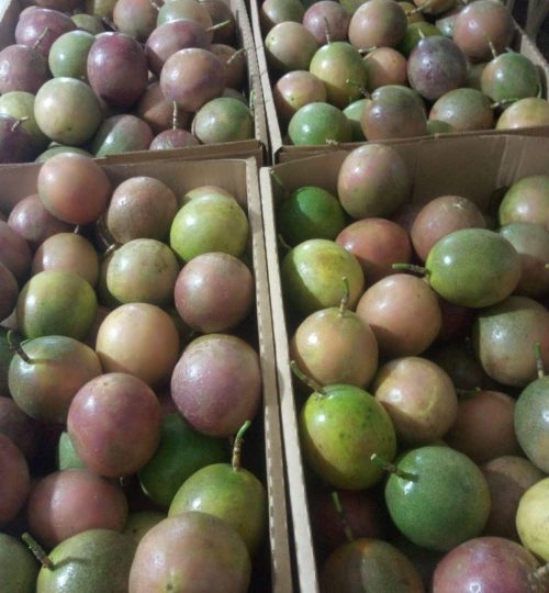 WhatsApp Image 2024-10-30 at 14.46.12