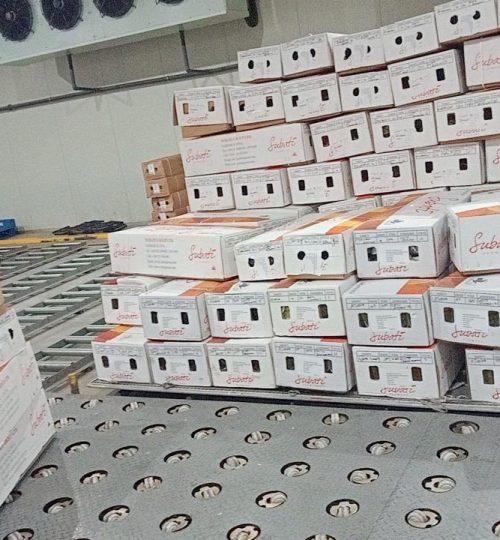 WhatsApp Image 2024-11-08 at 23.38.27 (2)