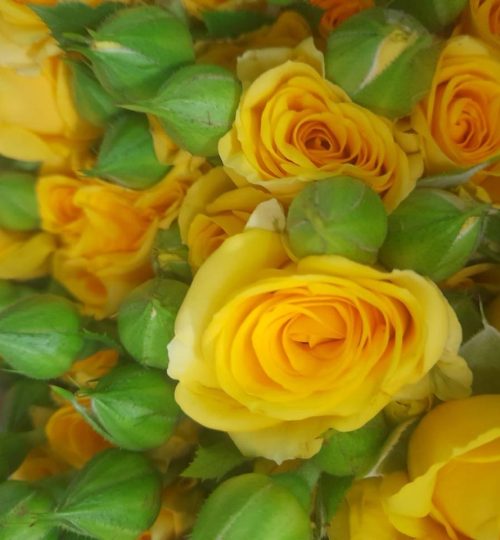 WhatsApp Image 2024-11-08 at 23.38.35