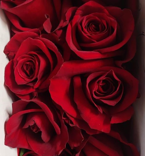 WhatsApp Image 2024-11-08 at 23.38.42 (1)